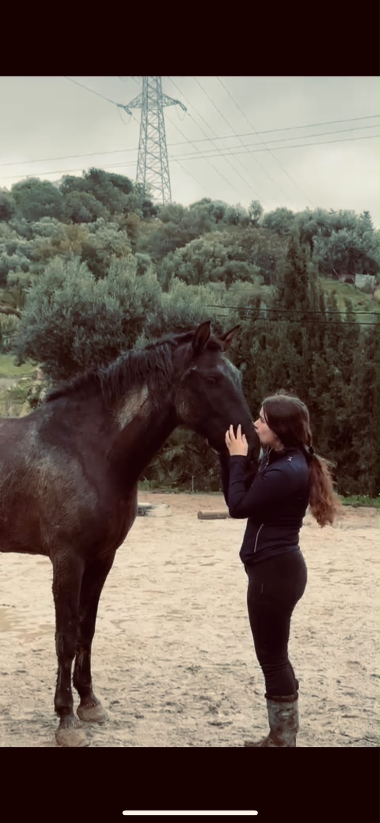 Sea Side Saddle Adventures image